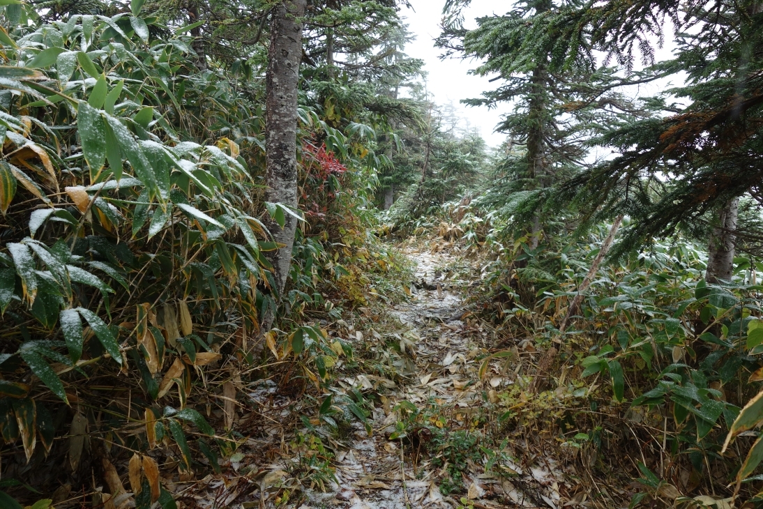 登山道に雪がうっすらと積もっている