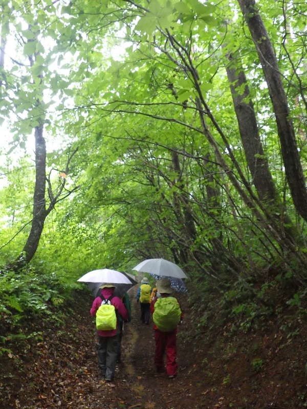 女性限定で戸隠神社五社巡り | 中部地方環境事務所 | 環境省