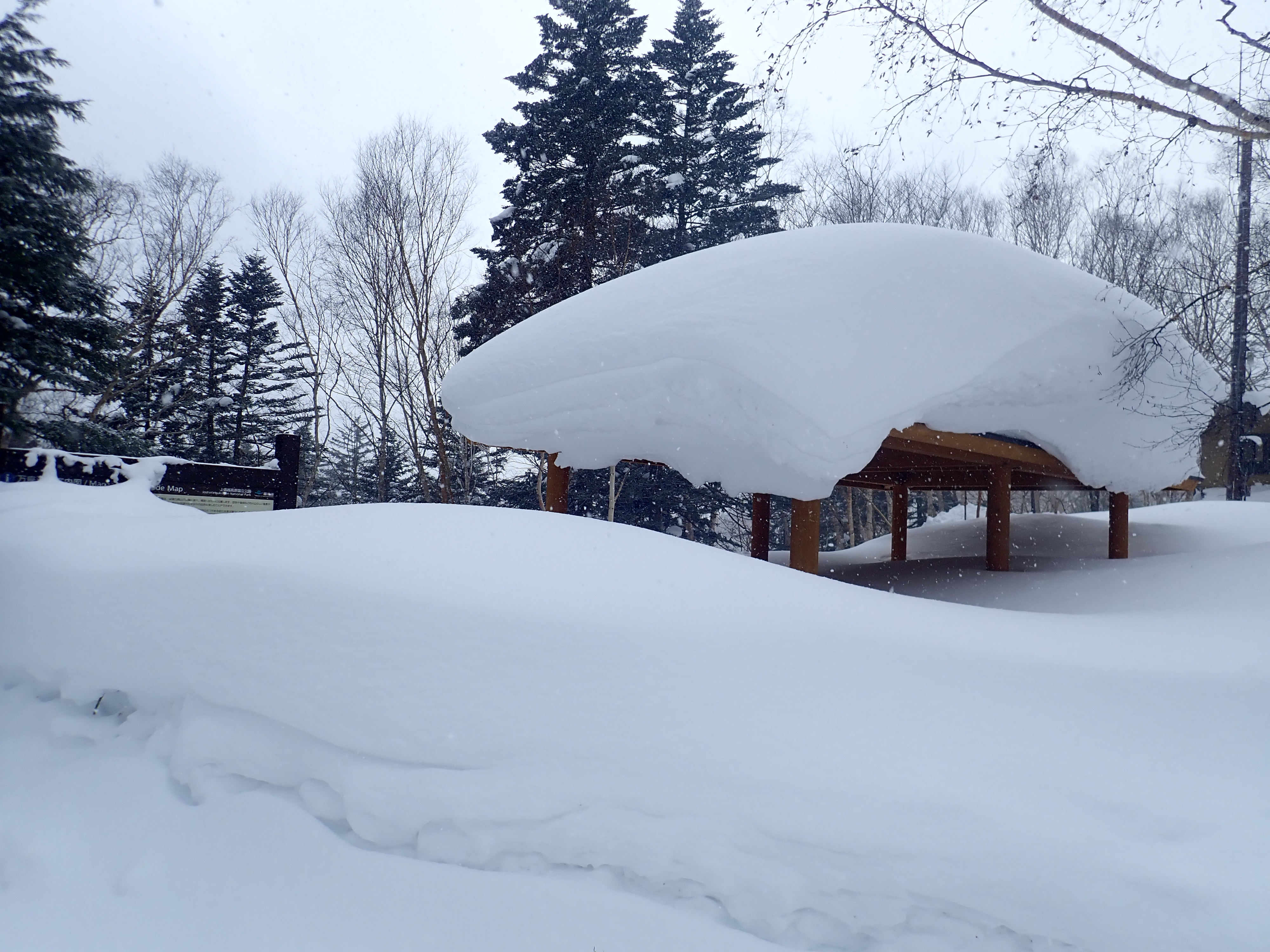 厳冬期の万座 | 中部地方環境事務所 | 環境省