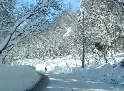 2015年3月に『妙高戸隠連山国立公園』が誕生します！ | 中部地方環境