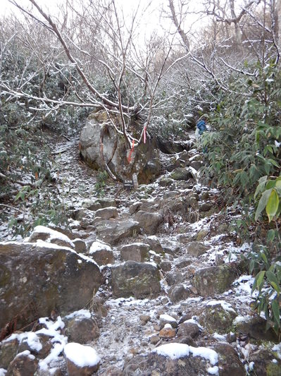 雪が積もる道。氷につつまれた岩も。