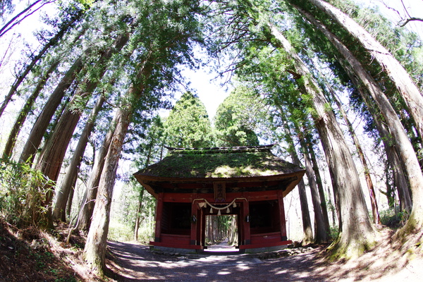 戸隠神社奥社への山道途中にある随神門