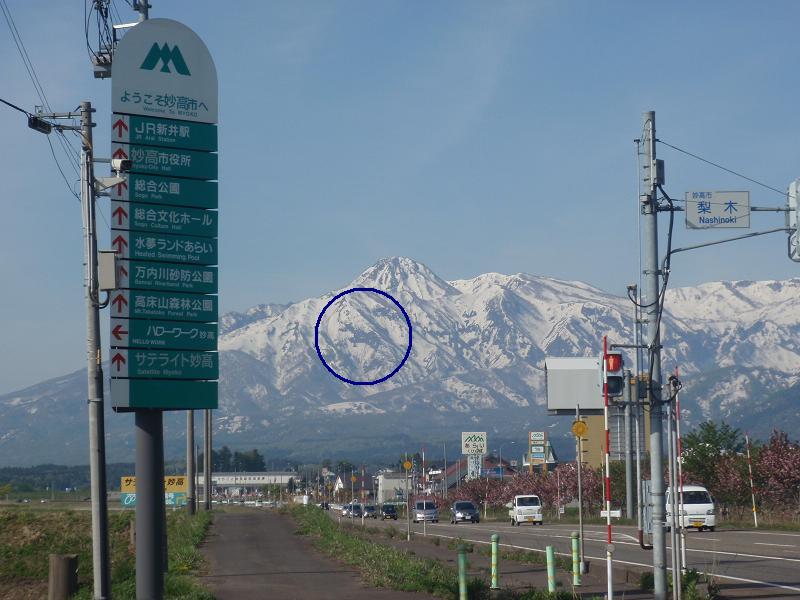 妙高山の雪形「跳ね馬」といもり池のミズバショウ | 中部地方環境事務