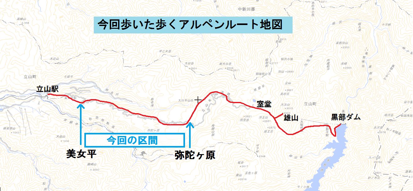 歩くアルペンルートを歩こう！～立山の魅力～その2（美女平～弥陀ヶ原