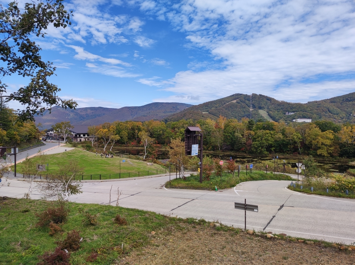 10月15日に撮影した蓮池の紅葉