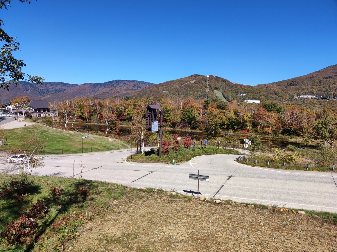 10月21日に撮影した蓮池の紅葉