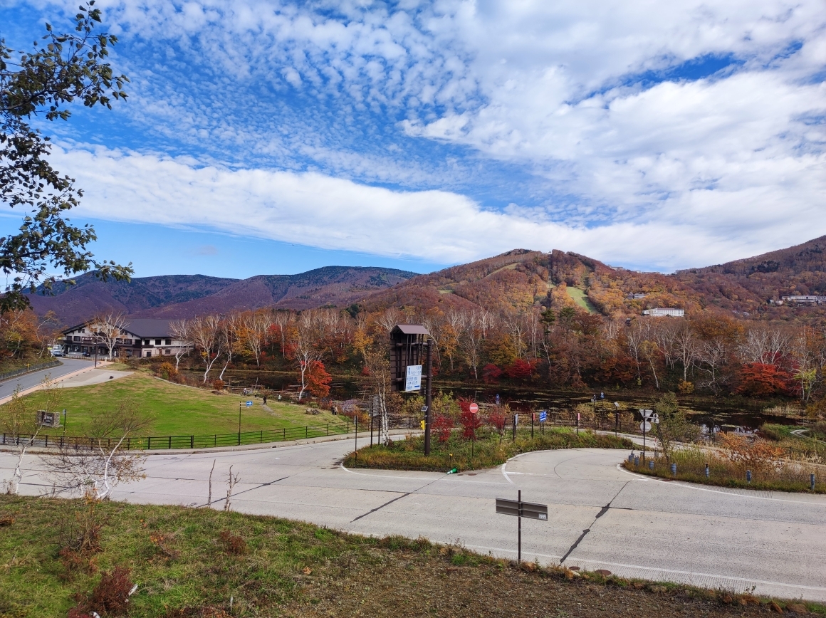 10月29日に撮影した写真。蓮池の紅葉は落葉が進む。