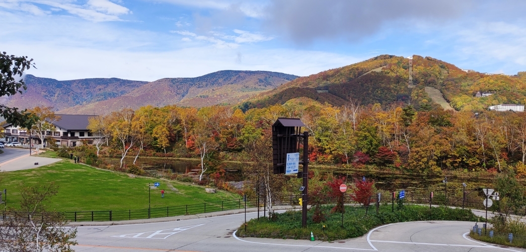 10月21日に事務所の駐車スペースから蓮池方面を撮影した写真