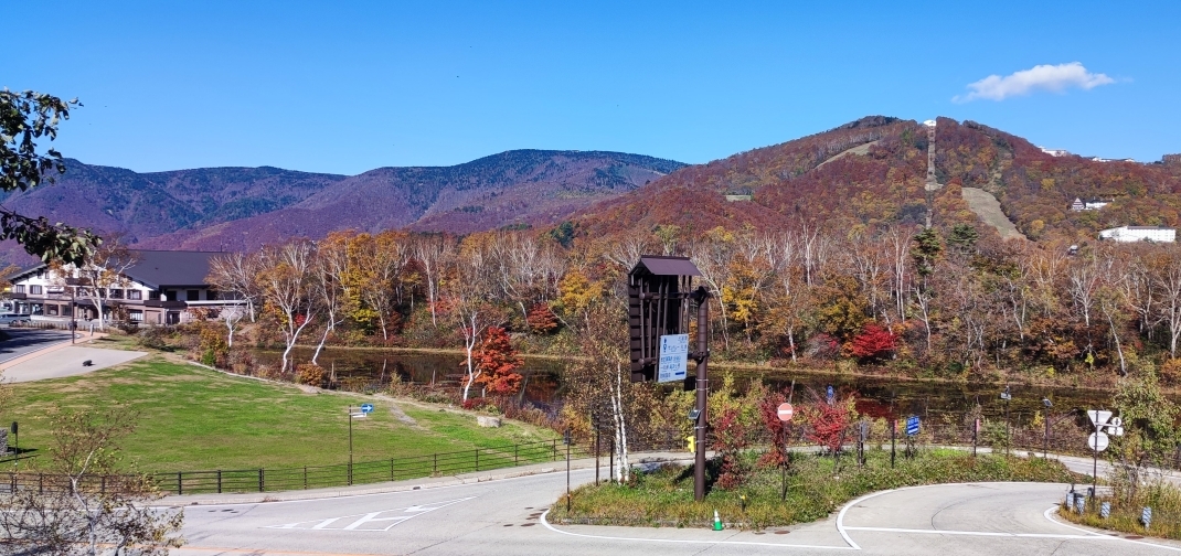 10月30日に事務所の駐車スペースから蓮池方面を撮影した写真