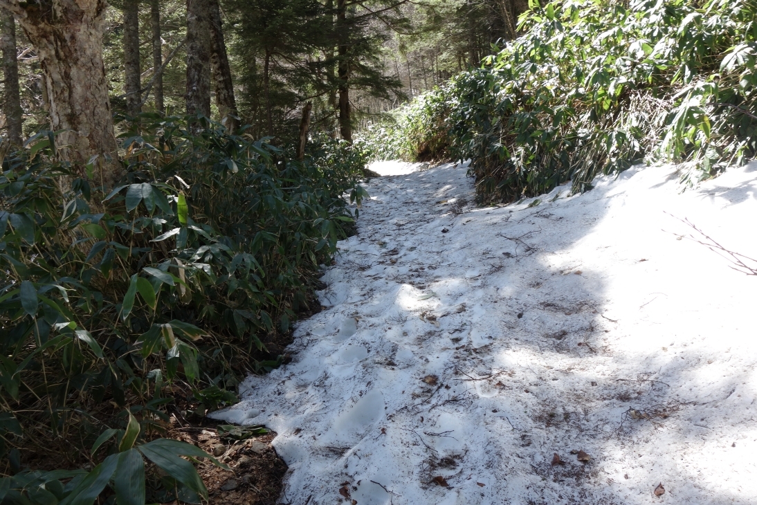 5月7日の残雪の状況