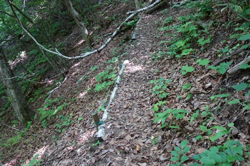 遊歩道の整備の状況