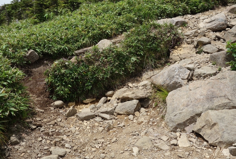 登山道の複線化