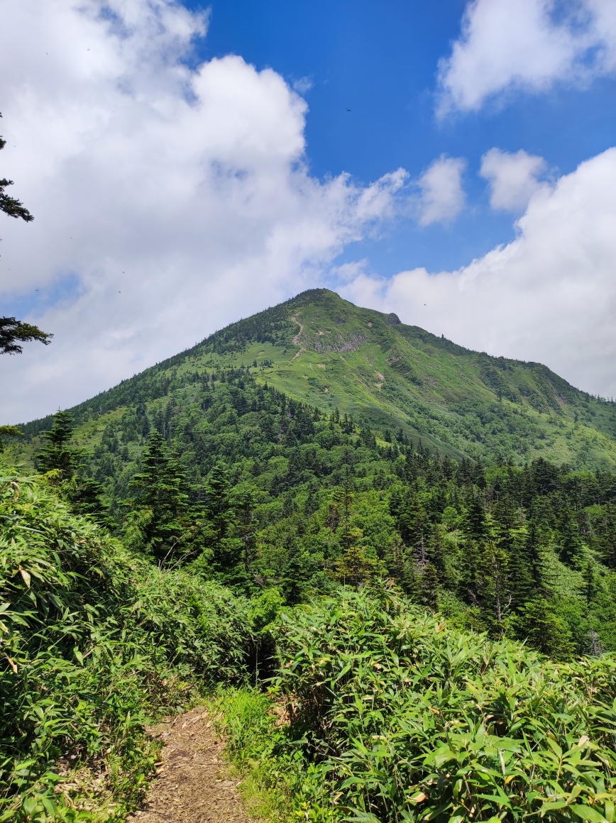 岩菅山山頂部を望む