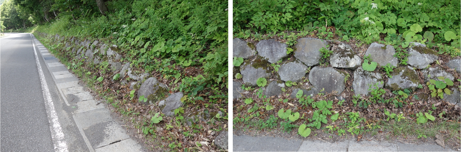 一沼の野面積みの法面