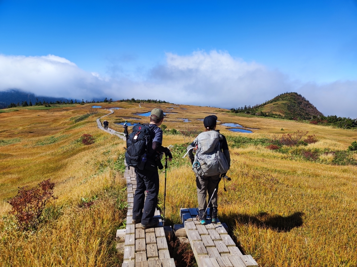 苗場山坪場付近の草紅葉