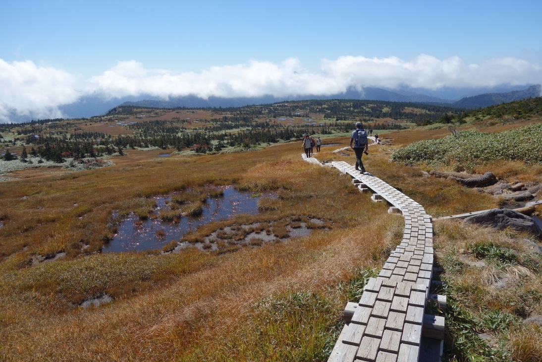苗場山山頂部の草紅葉