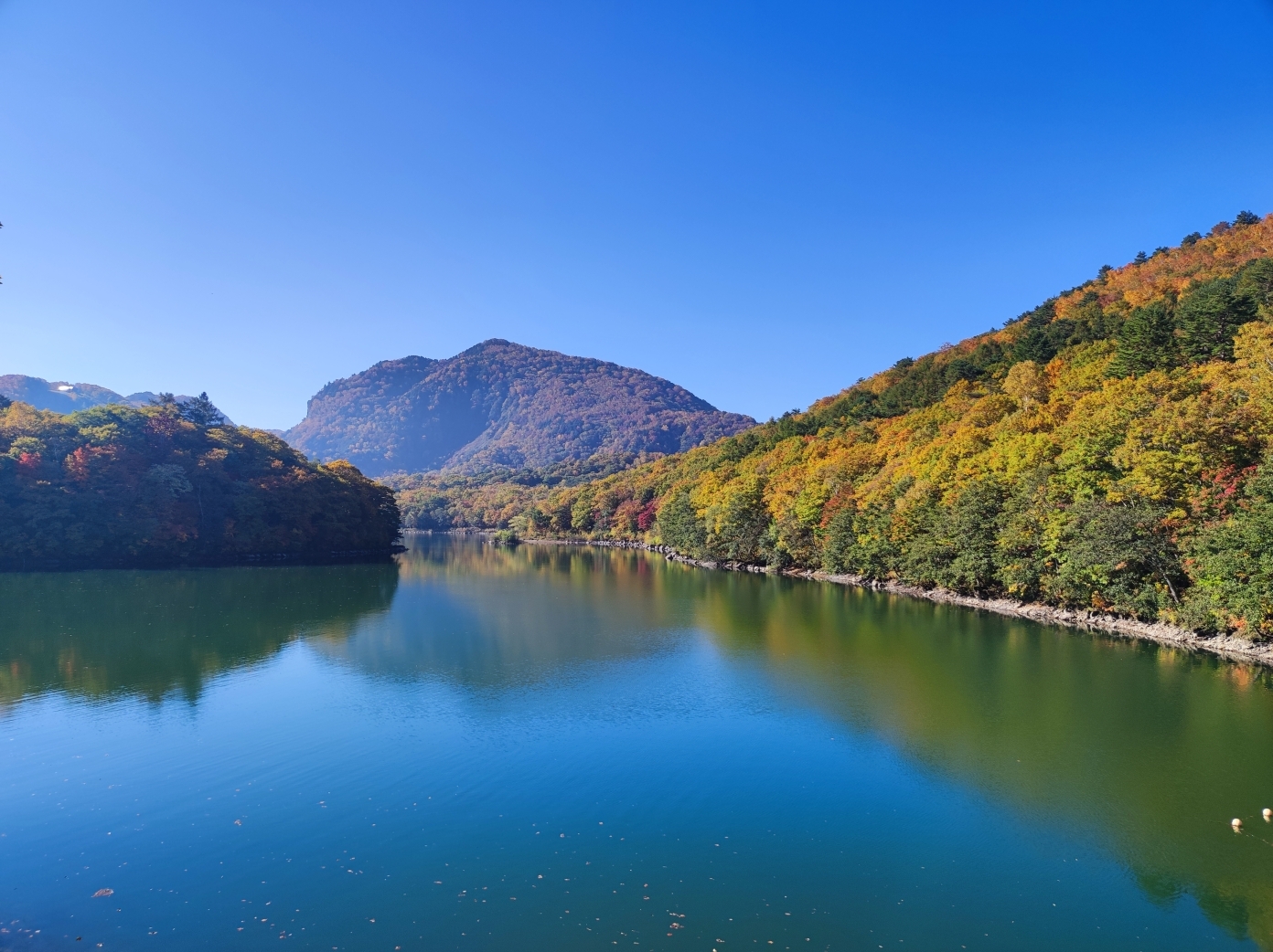 琵琶池の紅葉。北側の道路から撮影。
