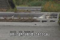 写真：【映像2】伏見川の魚と金沢の人たちの暮らし2
