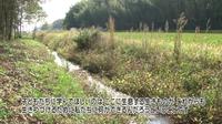 写真：【映像3】地域で行われている川の保全活動を知る2