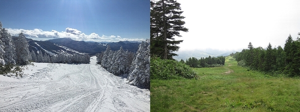 焼額山山頂付近からのスキーコースの冬と夏の写真