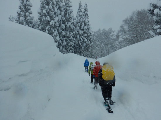 スノーシューコース入り口の雪の壁
