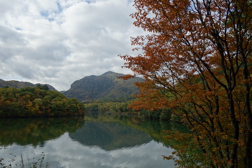 琵琶池の紅葉