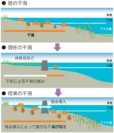 図：干潟再生の方法