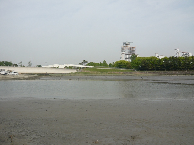 写真：庄内川河口干潟2