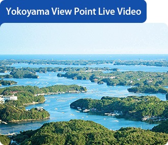 Yokoyama View Point Live Video