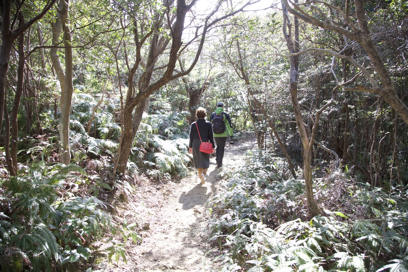 レンジャーの案内で、女性が横山山頂へ続く道を歩いている写真です。細い道で、木々やシダの仲間が道まで張り出しています。