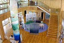 稲永ビジターセンター館内画像