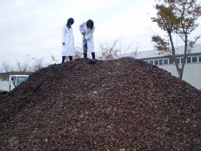 ゴミの山から宝の山へ　地域産業の課題解決　栗殻の有効利用