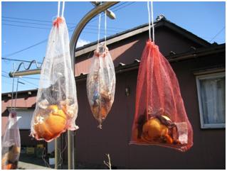 生ごみ　水切り干せ干せ大作戦（町内会全世帯で取り組むＣＯ２削減）
