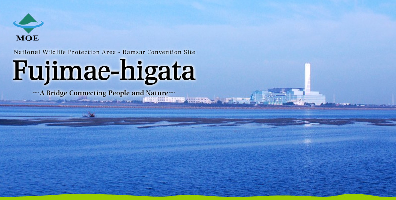 Fujimae-higata – A Bridge Connecting People and Nature –